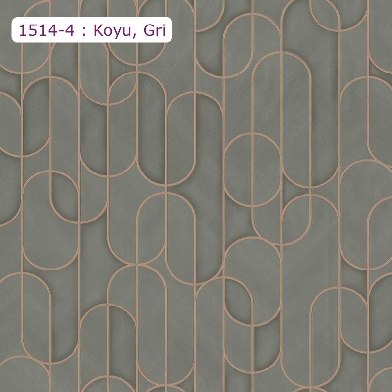 1514 Serisi | Modern Geometrik Desen Duvar Kağıdı