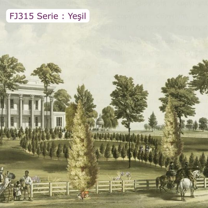FJ315 Serisi | Beyaz Bina Tasarımlı Poster Duvar Kağıdı