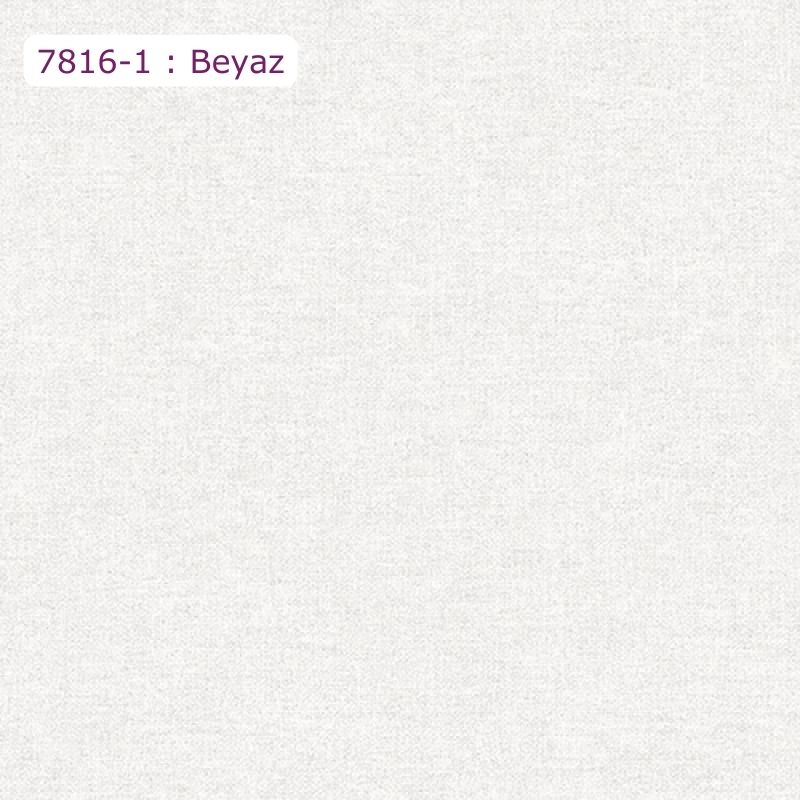 7816-9 : Mavi