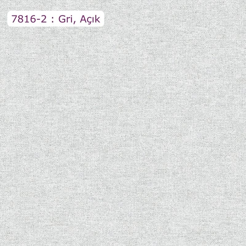 7816-9 : Mavi