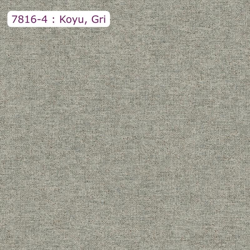 7816-9 : Mavi