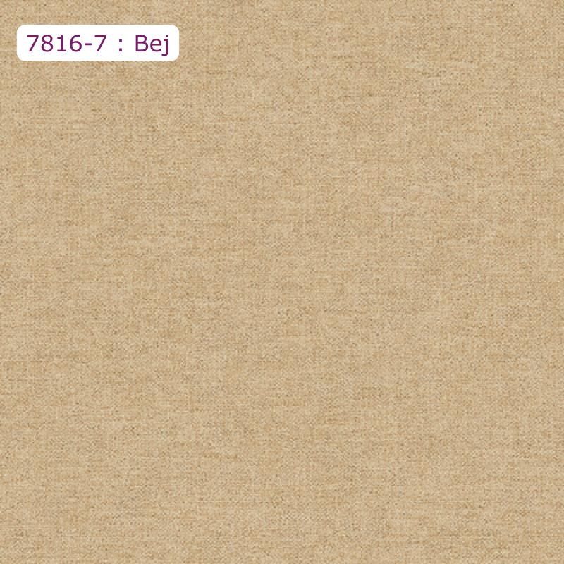 7816-9 : Mavi
