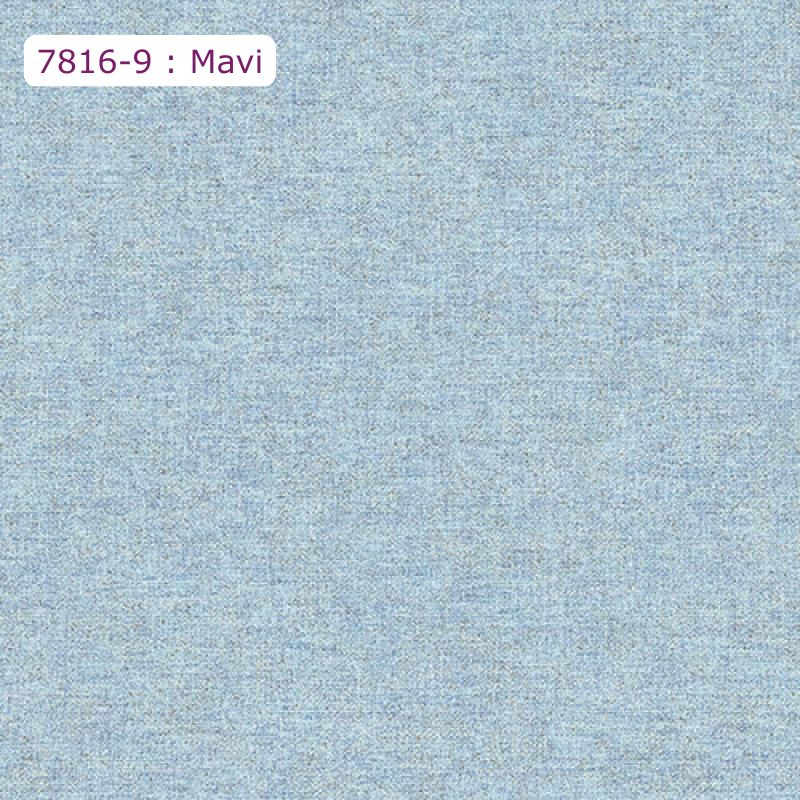 7816-9 : Mavi